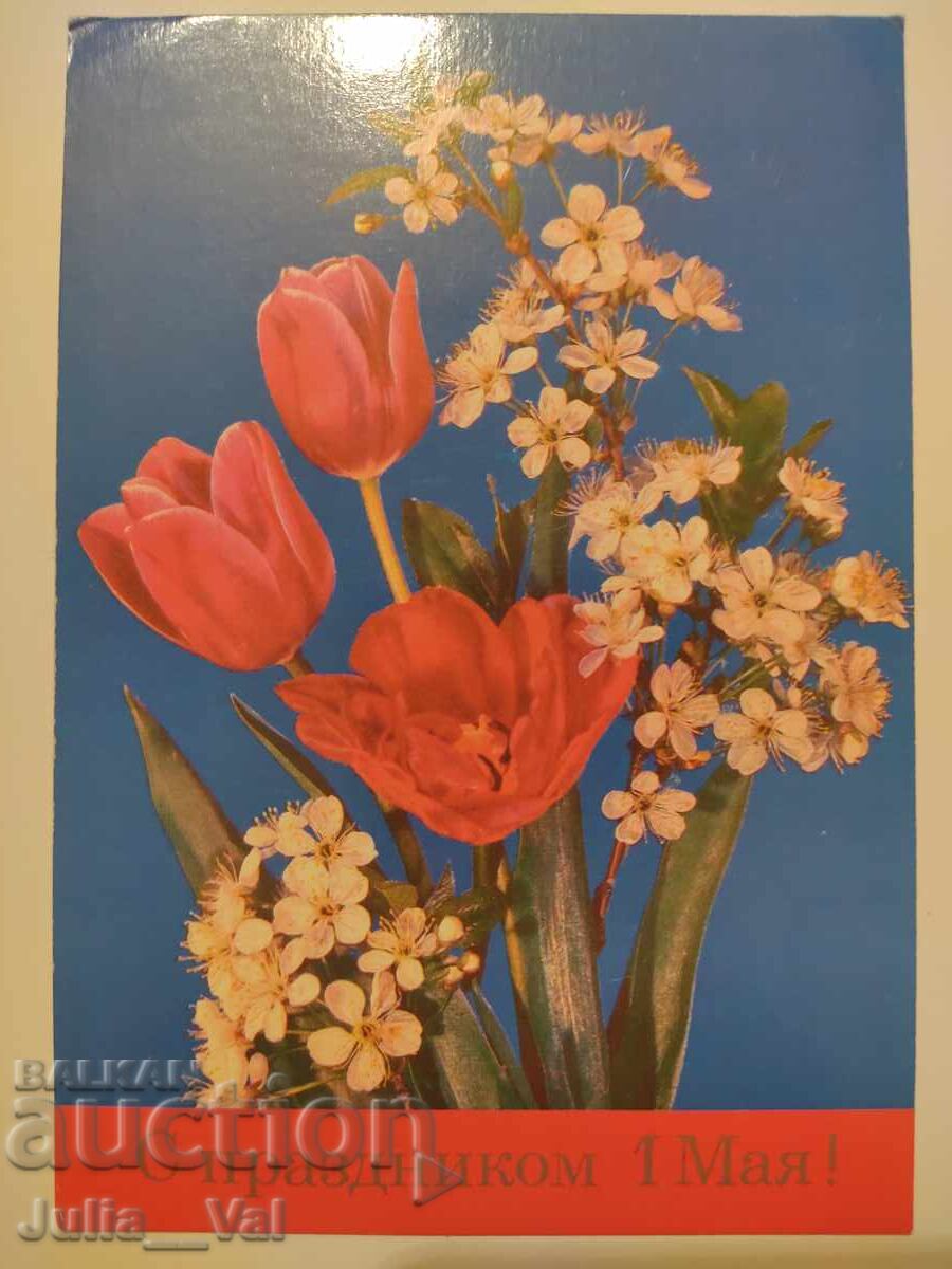 USSR - Happy May 1st! - clean postcard Photo: I. Dergil