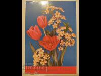 USSR - Happy May 1st! - clean postcard Photo: I. Dergil