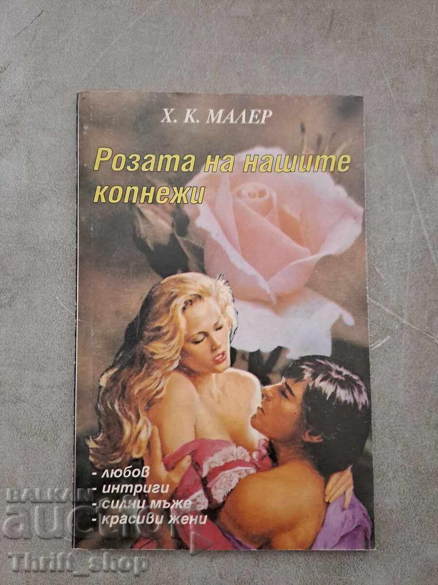 Η Ρόζα των Πόθων μας Χ.Κ.Μάλερ