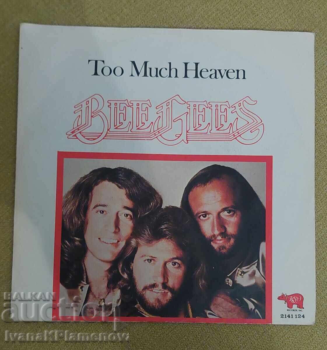 Placă pentru cunoscători cu preț 20.00 BGN | € 10.23