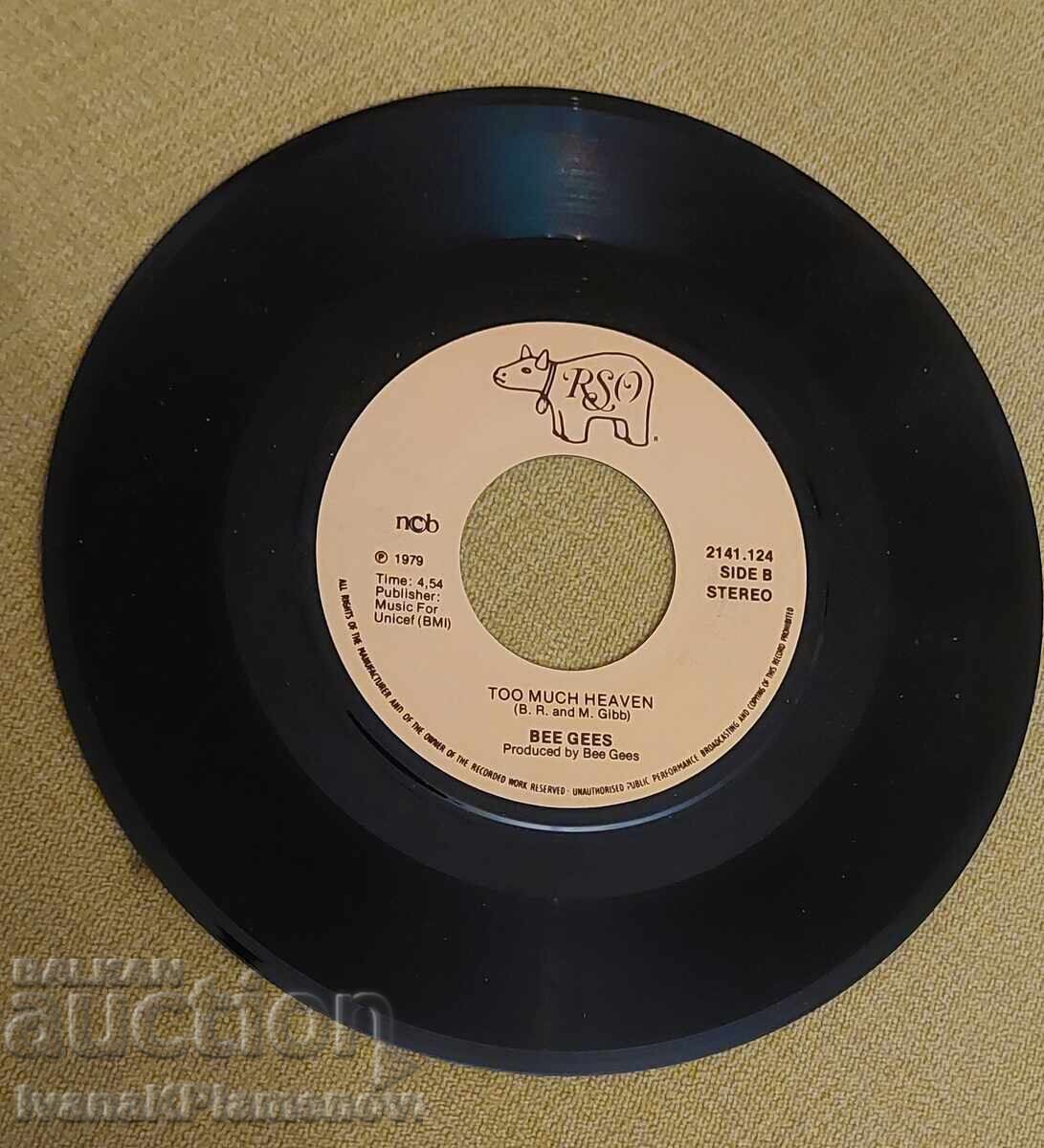 Placă pentru cunoscători - 5