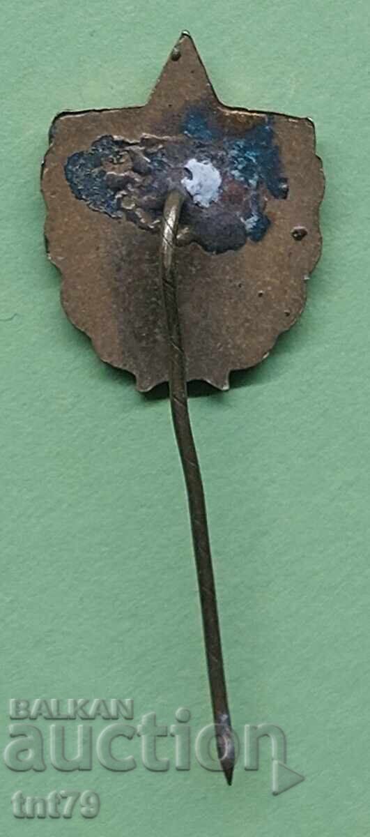 Значка: Висш институт за физическо възпитание и спорт (ВИФ) с цена 5.00 лв. | € 2.56