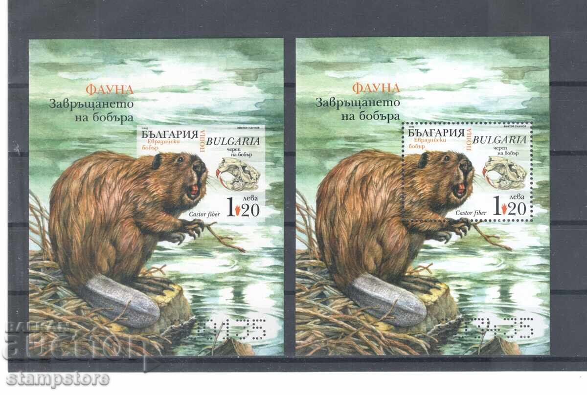 Фауна - Завръщането на бобъра Фауна - Завръщането на бобъра