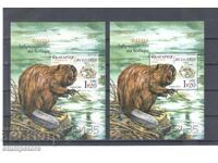 Фауна - Завръщането на бобъра