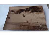 Photo of a Young Person Jumping into the Sea