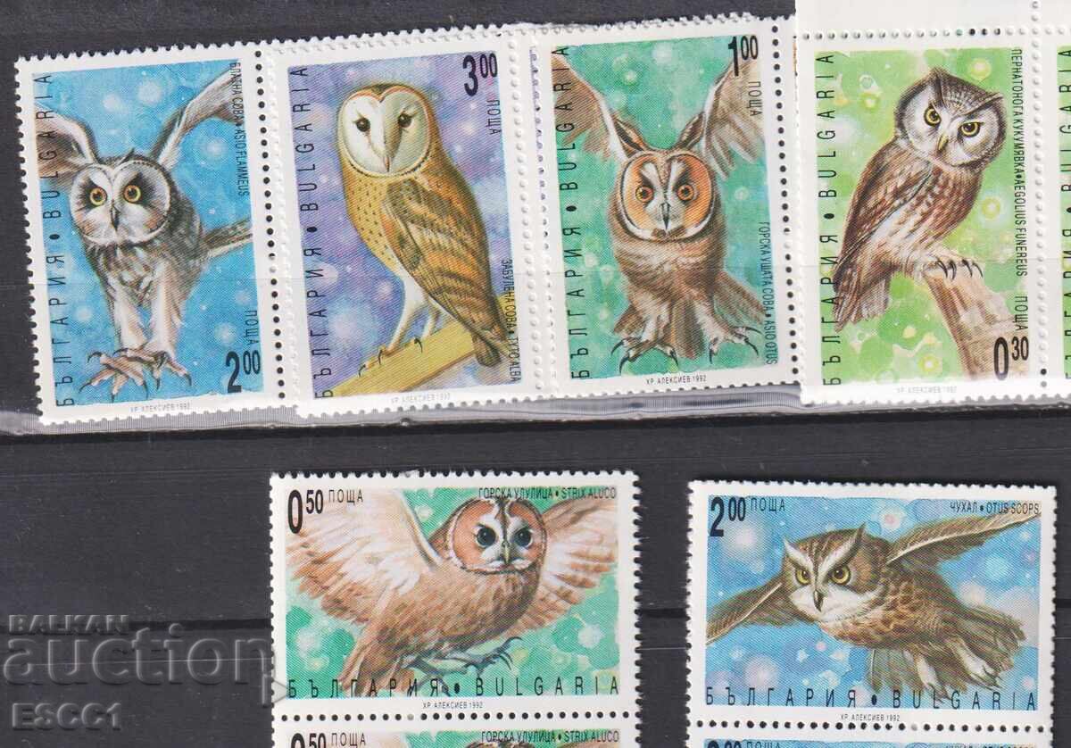 Καθαρές γραμματόσημες Fauna Νυχτερινά αρπακτικά πουλιά Κουκουβάγιες 1992 από Βουλγαρία