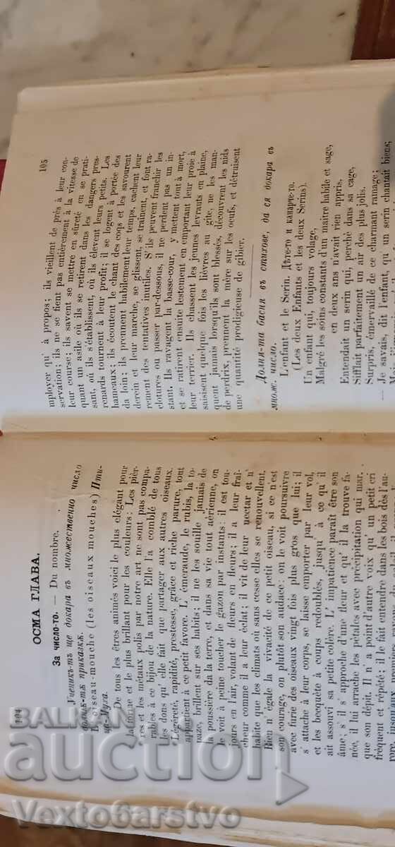 Auction  Old printed book - lexicological grammar - 1875