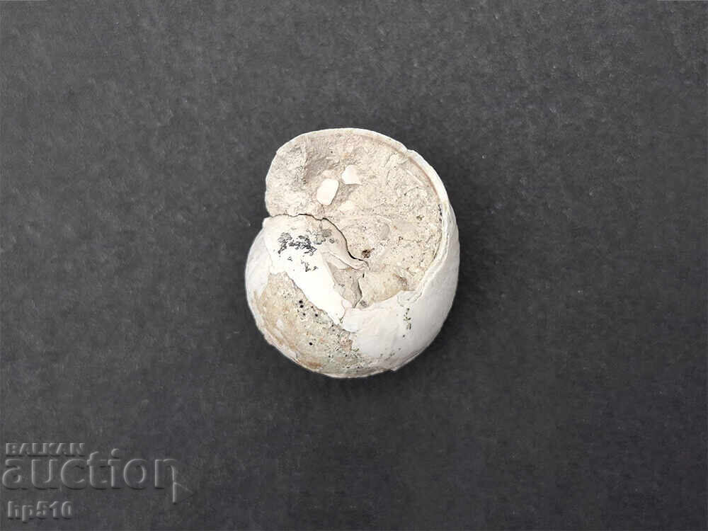 Απολίθωμα Φώσιλ. Απολίθωμα χερσαίου σαλιγκαριού Helix toulai - 5 Απολίθωμα Φώσιλ. Απολίθωμα χερσαίου σαλιγκαριού Helix toulai - 5