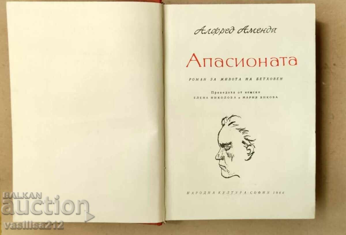 Apassionata - Alfred Amend - Book about Beethoven
