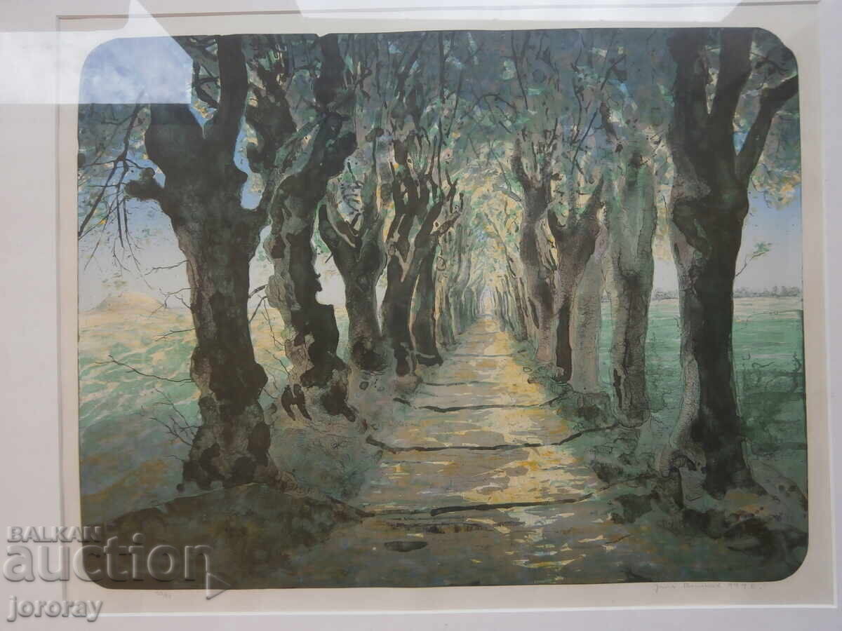 Litografie de maestru 72x62cm cu preț € 15.34 | 30.00 BGN