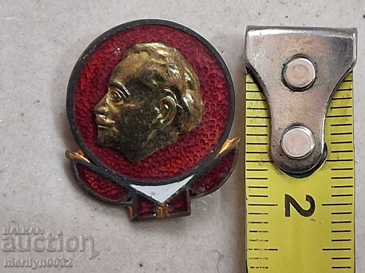 Аукцион Емайлирана значка, нагръден знак, медал, бадж