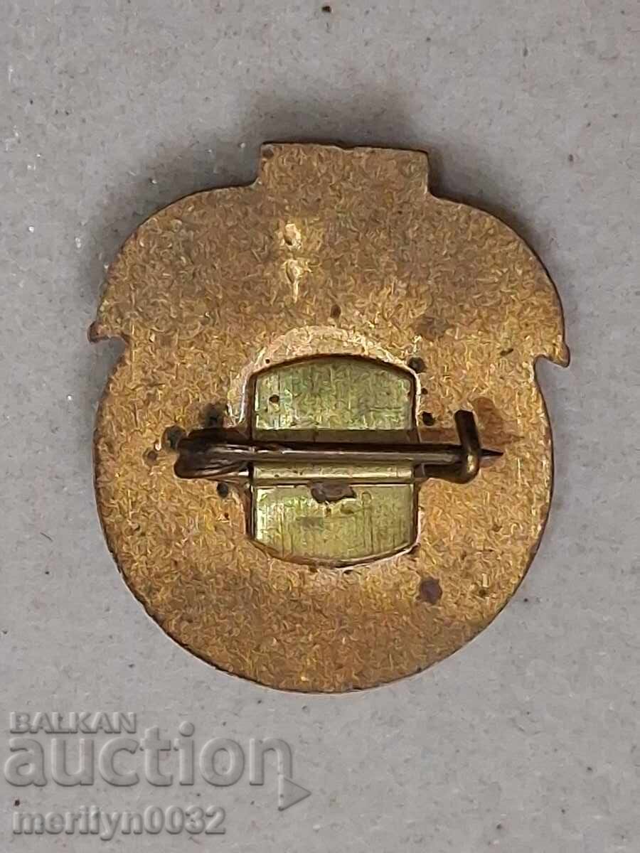 Емайлирана значка, нагръден знак, медал, бадж - 5