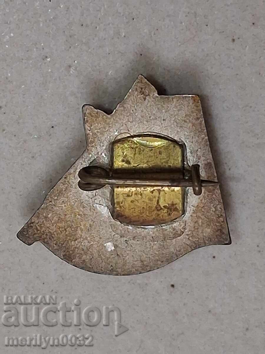 Enamelled badge, breast badge, medal, badge - 5