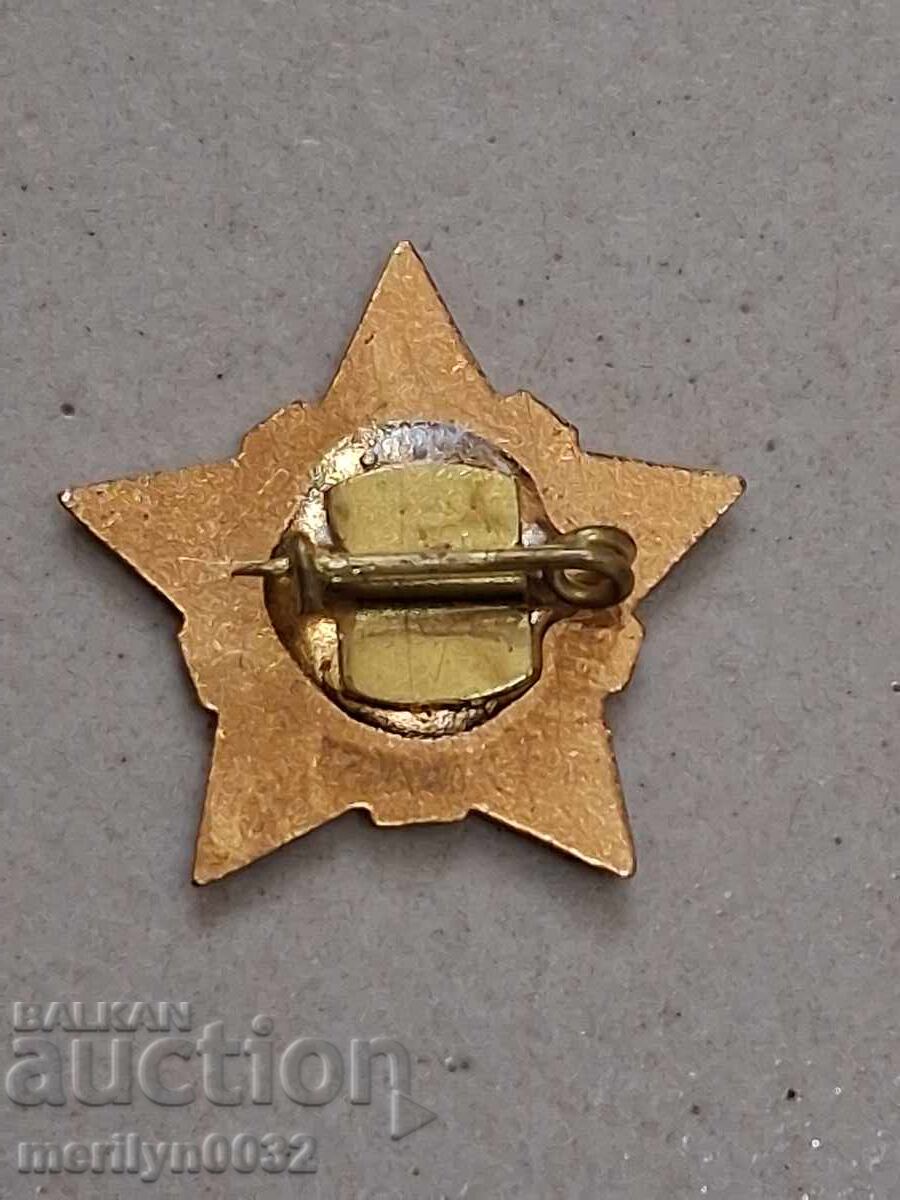 Delivery of Enamelled badge, breast badge, medal, badge