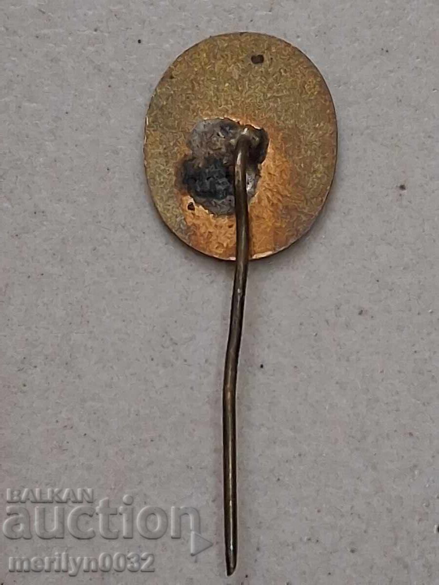 Auction  Enamelled badge, breast badge, medal, badge