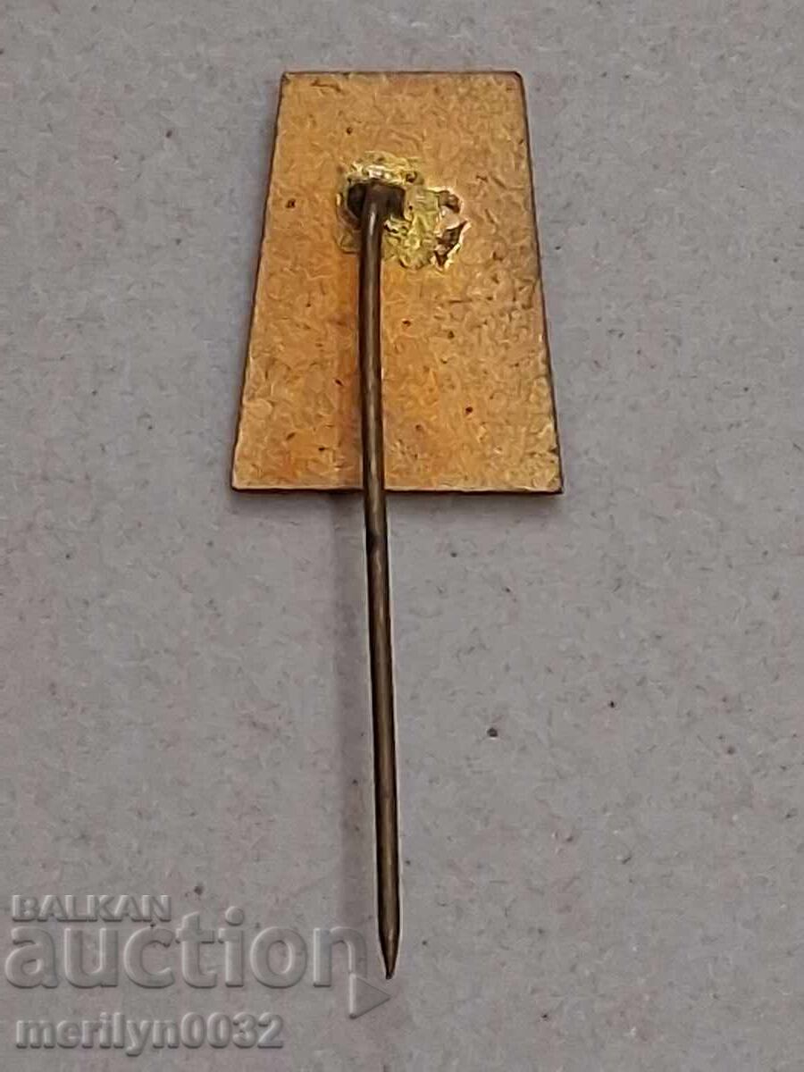 Auction  Enamelled badge, breast badge, medal, badge