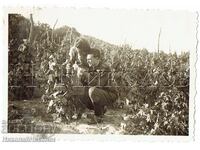 1941 МАЛКА СТАРА СНИМКА ВАРНА СВ КОНСТАНТИН ВОЕНЕН Е611