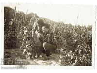 1941 FOTOGRAFIE MICĂ VECHE VARNA SF. CONSTANTIN MILITAR E611