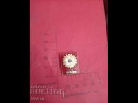 Insigna, Plovdiv, email