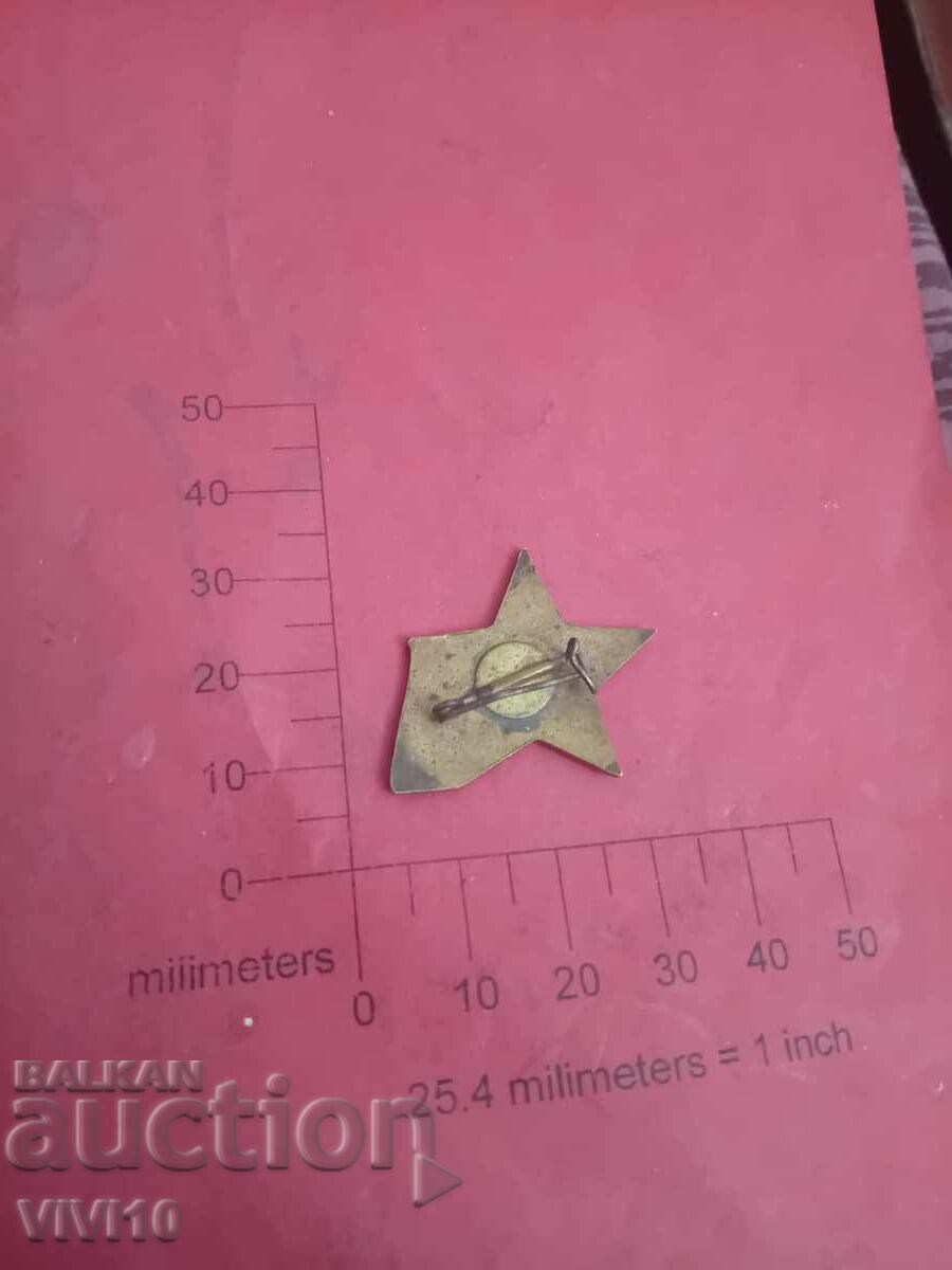 Σηματάκι, ΒΝΖΣ, email με τιμή 30.00 BGN | € 15.34