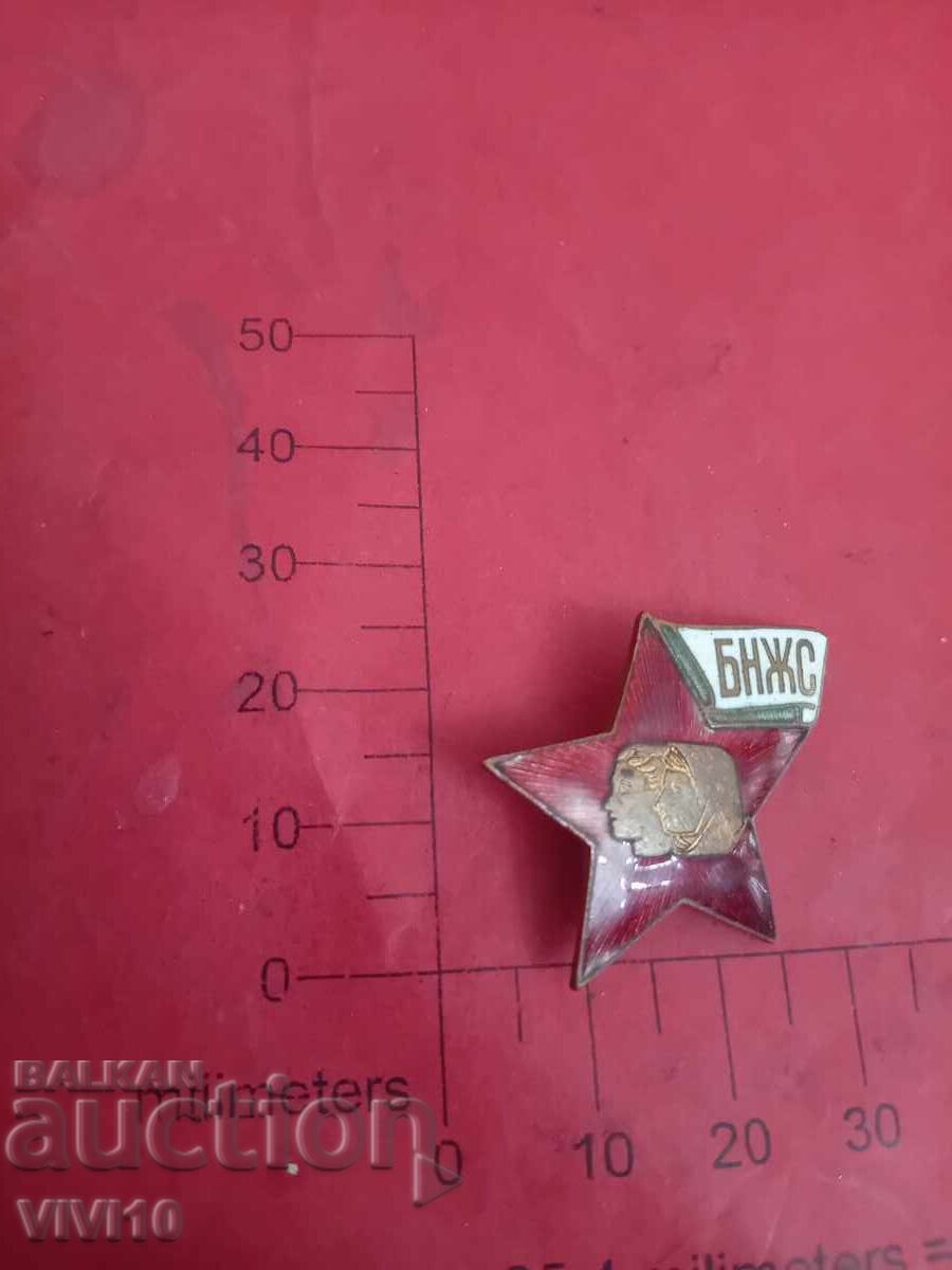 Σηματάκι, ΒΝΖΣ, email