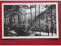 Κyustendil - Χισαρλŭkα Θέα προς την Πόλη