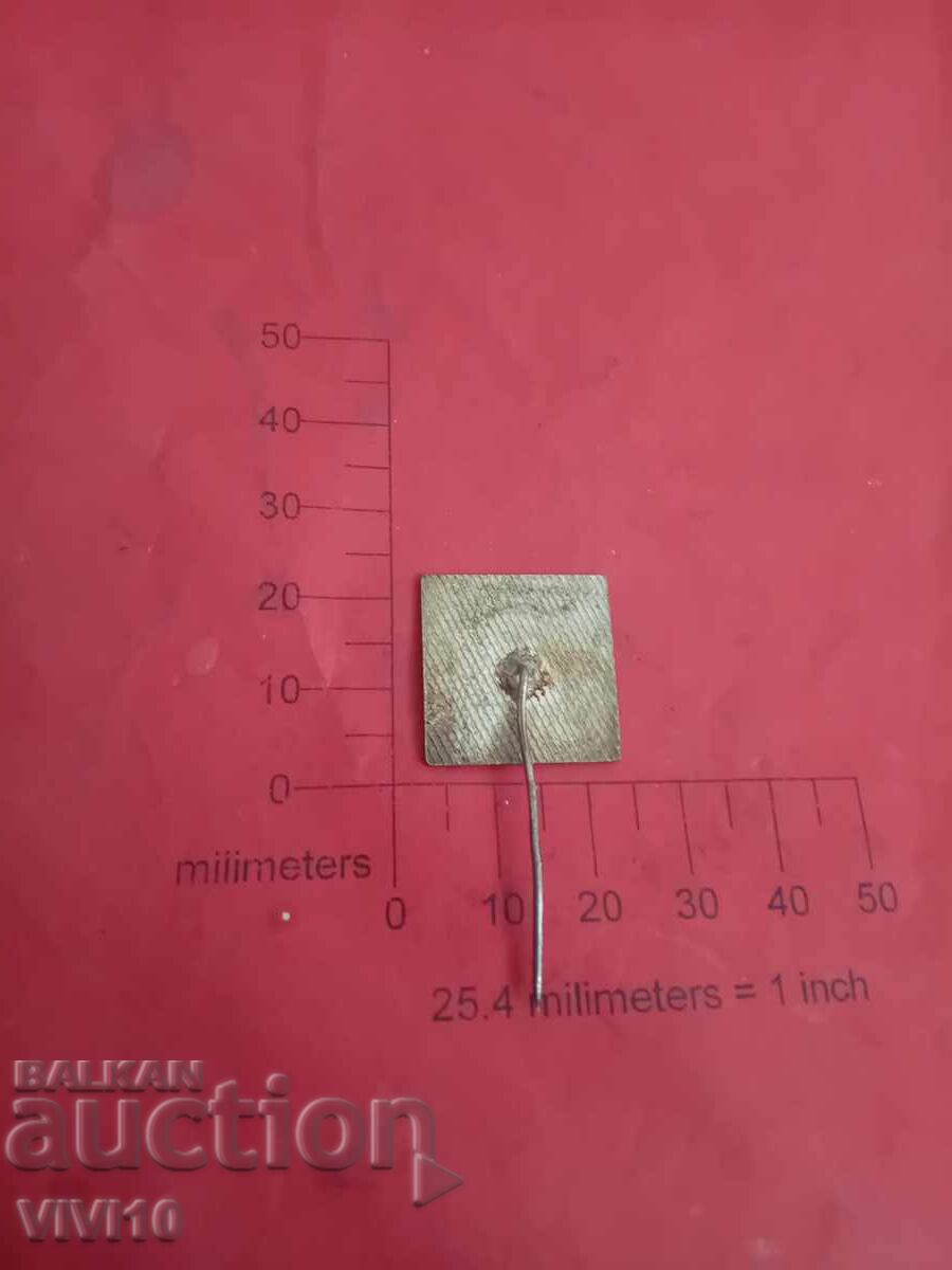 Badge, Sofia, email with price 20.00 BGN | € 10.23 Badge, Sofia, email with price 20.00 BGN | € 10.23