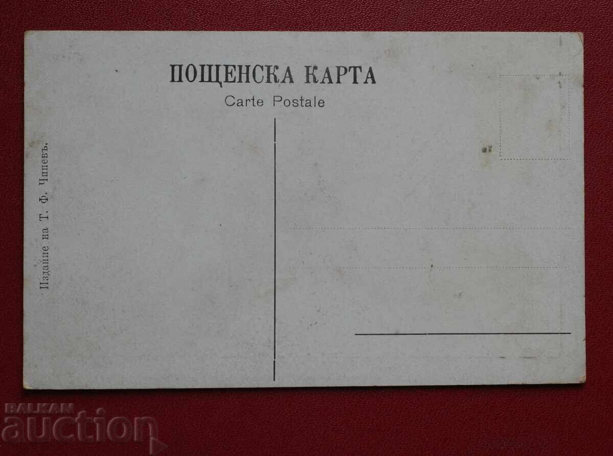 Ασπλήνιο - Μπάνιο με τιμή 12.00 BGN | € 6.14 Ασπλήνιο - Μπάνιο με τιμή 12.00 BGN | € 6.14