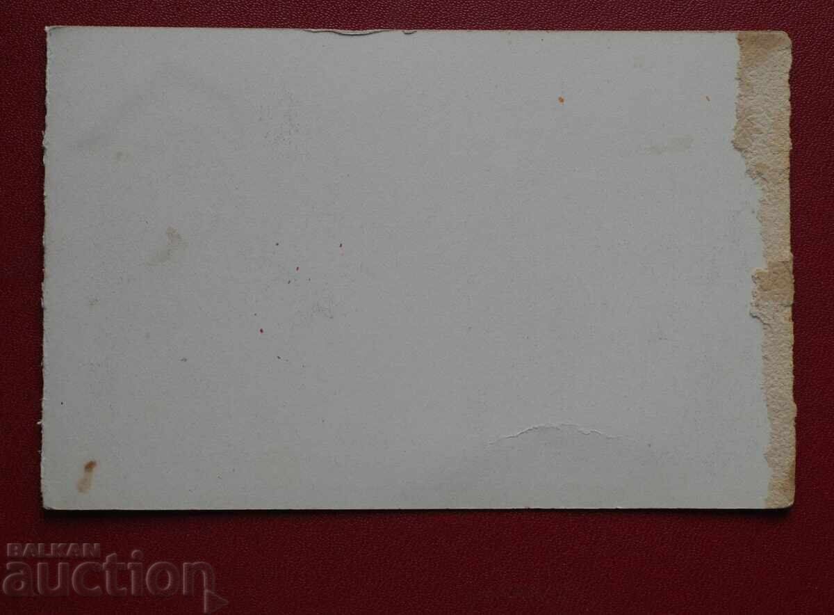 Σεβλίεβο με τιμή 12.00 BGN | € 6.14 Σεβλίεβο με τιμή 12.00 BGN | € 6.14