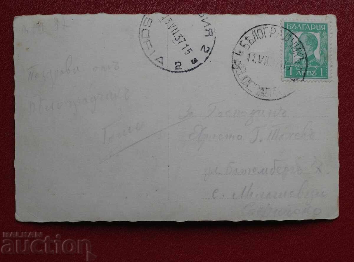 Βελιkogradchik Σκαlite με τιμή 12.00 BGN | € 6.14 Βελιkogradchik Σκαlite με τιμή 12.00 BGN | € 6.14