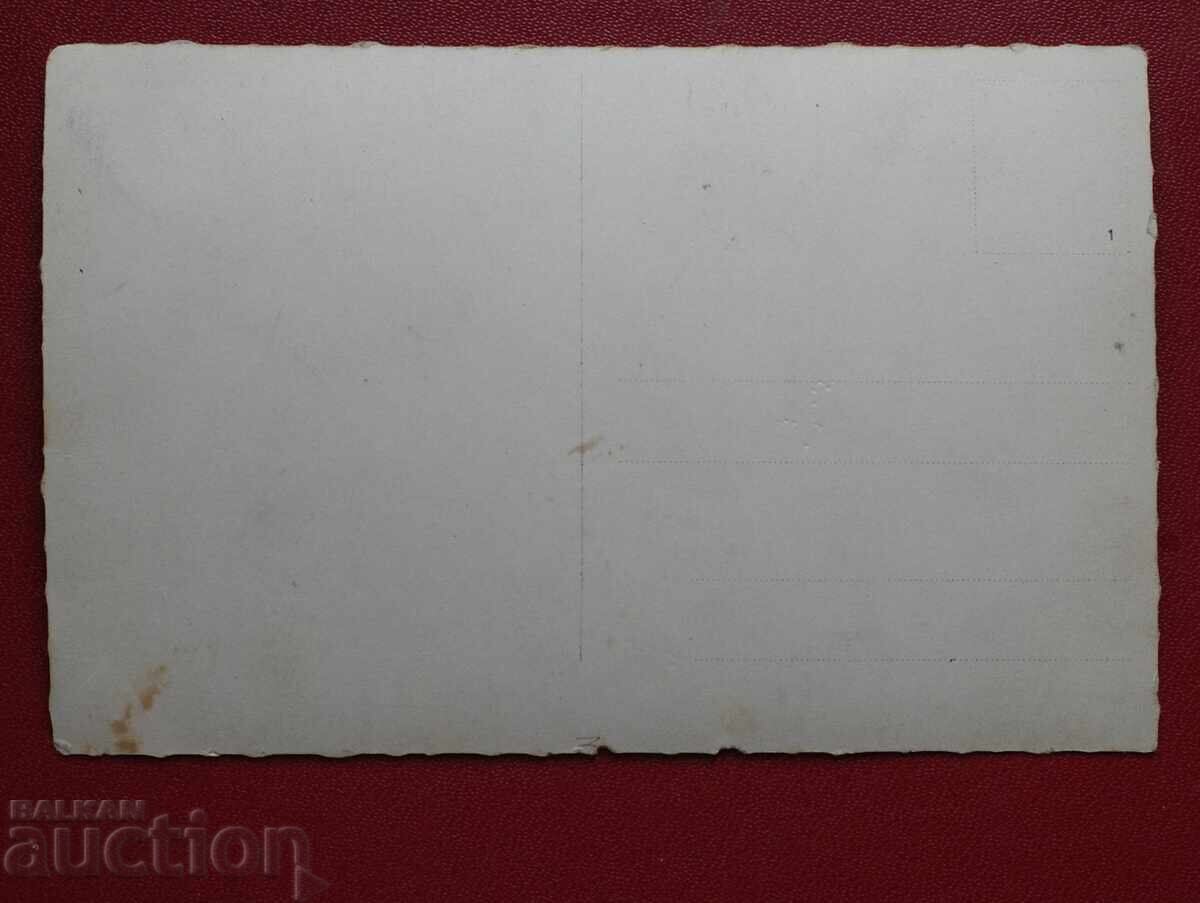 Βελιkogradchishkite βράχια με τιμή 10.00 BGN | € 5.11 Βελιkogradchishkite βράχια με τιμή 10.00 BGN | € 5.11