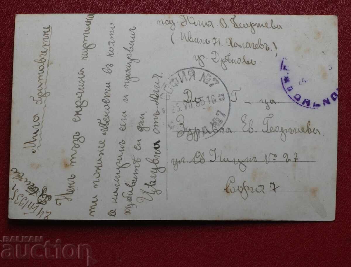 Dryanovo - Obshta gledka με τιμή 15.00 BGN | € 7.67