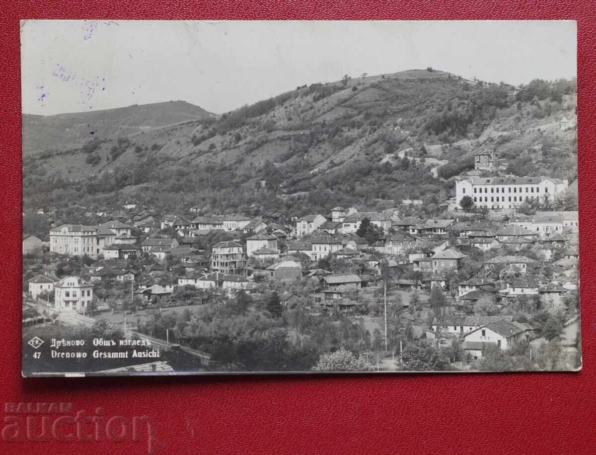 Dryanovo - Obshta gledka