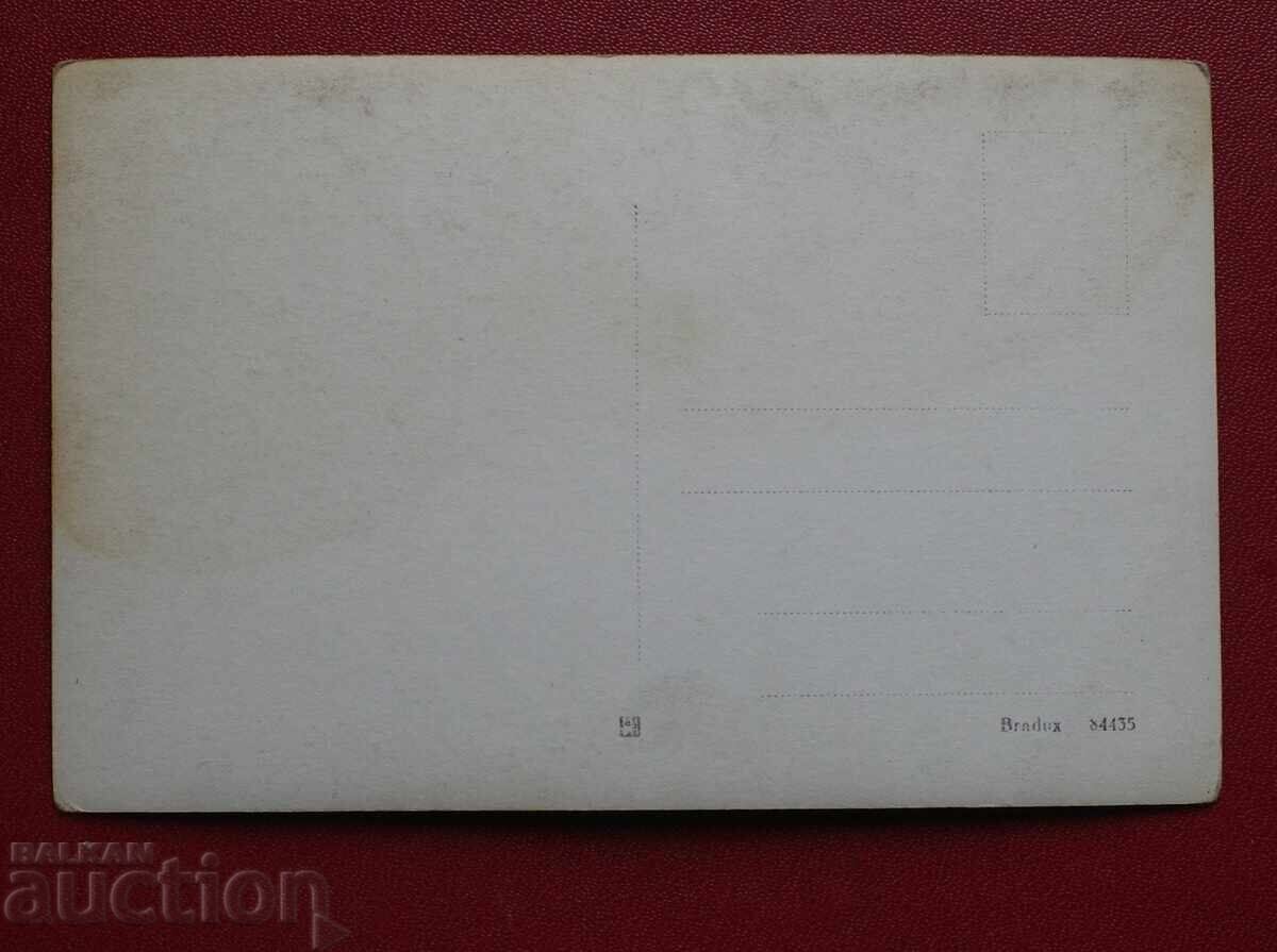 Πρώιμη Άνοιξη στο Τζουρόβο με τιμή 10.00 BGN | € 5.11 Πρώιμη Άνοιξη στο Τζουρόβο με τιμή 10.00 BGN | € 5.11