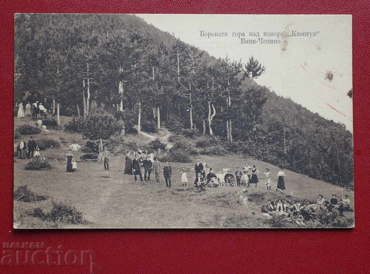 Baia Țepino-Pădurea de Brazi deasupra Izvorului Cleptuza Baia Țepino-Pădurea de Brazi deasupra Izvorului Cleptuza