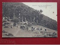 Baia Țepino-Pădurea de Brazi deasupra Izvorului Cleptuza