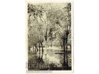 СТАРА СНИМКА ПРОЛЕТЕН ИЗГЛЕД Е640