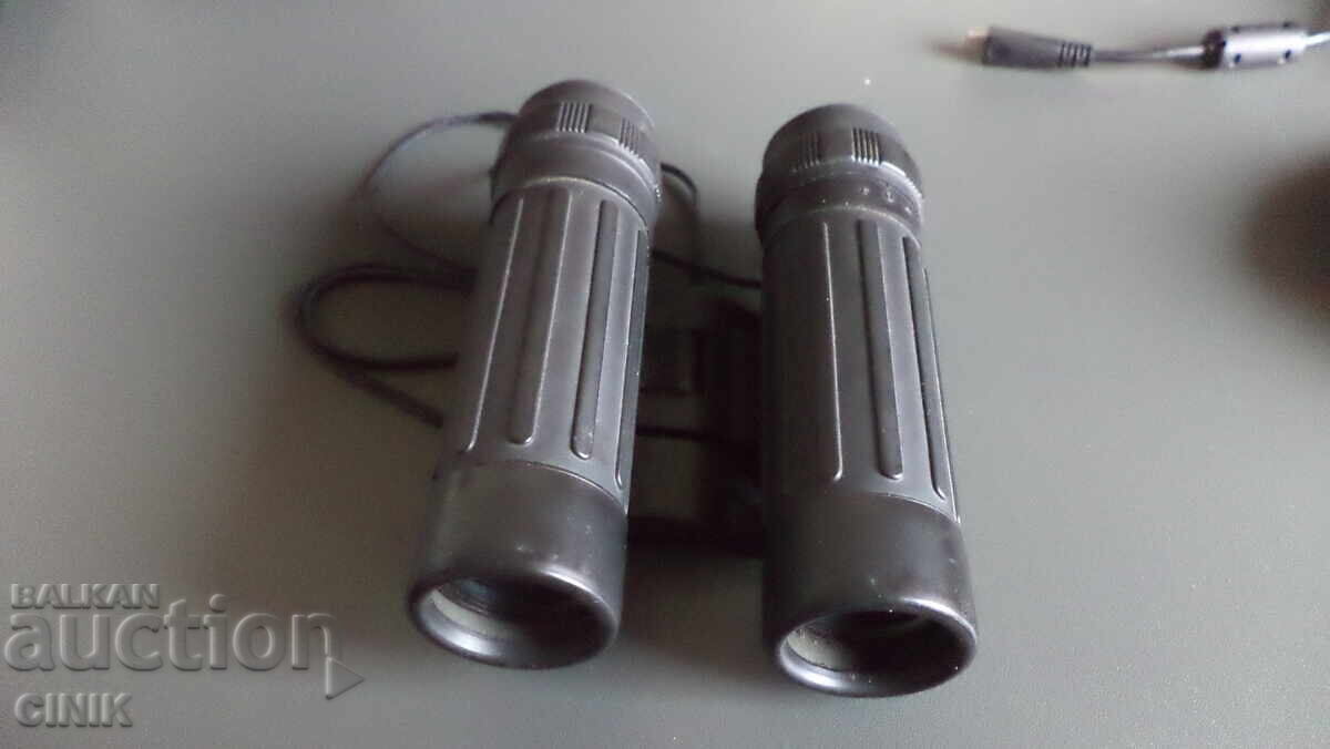 Delivery of BINOCULARS