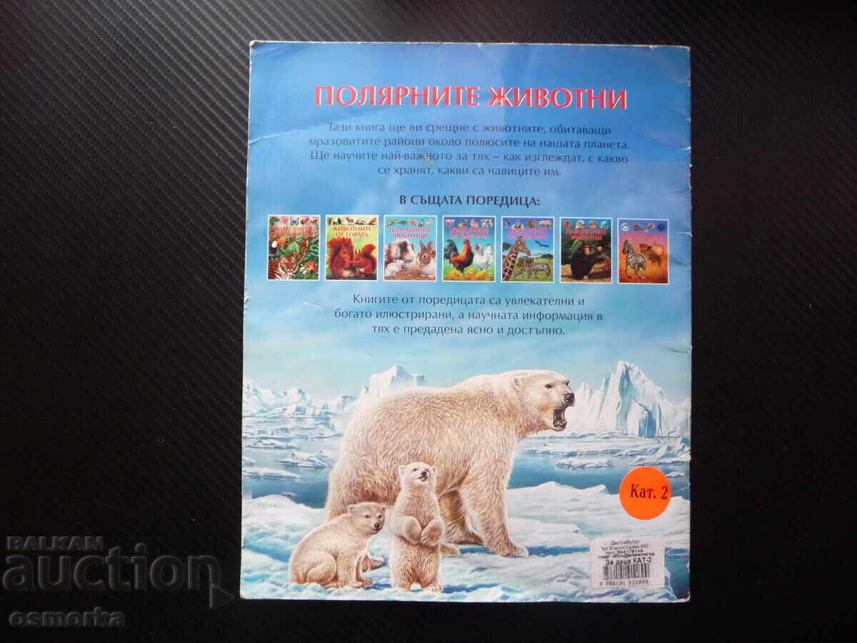 Παιδικές όμορφες ζωγραφιές πολικών ζώων, λευκή αρκούδα, πιγκουίνοι - 5 Παιδικές όμορφες ζωγραφιές πολικών ζώων, λευκή αρκούδα, πιγκουίνοι - 5