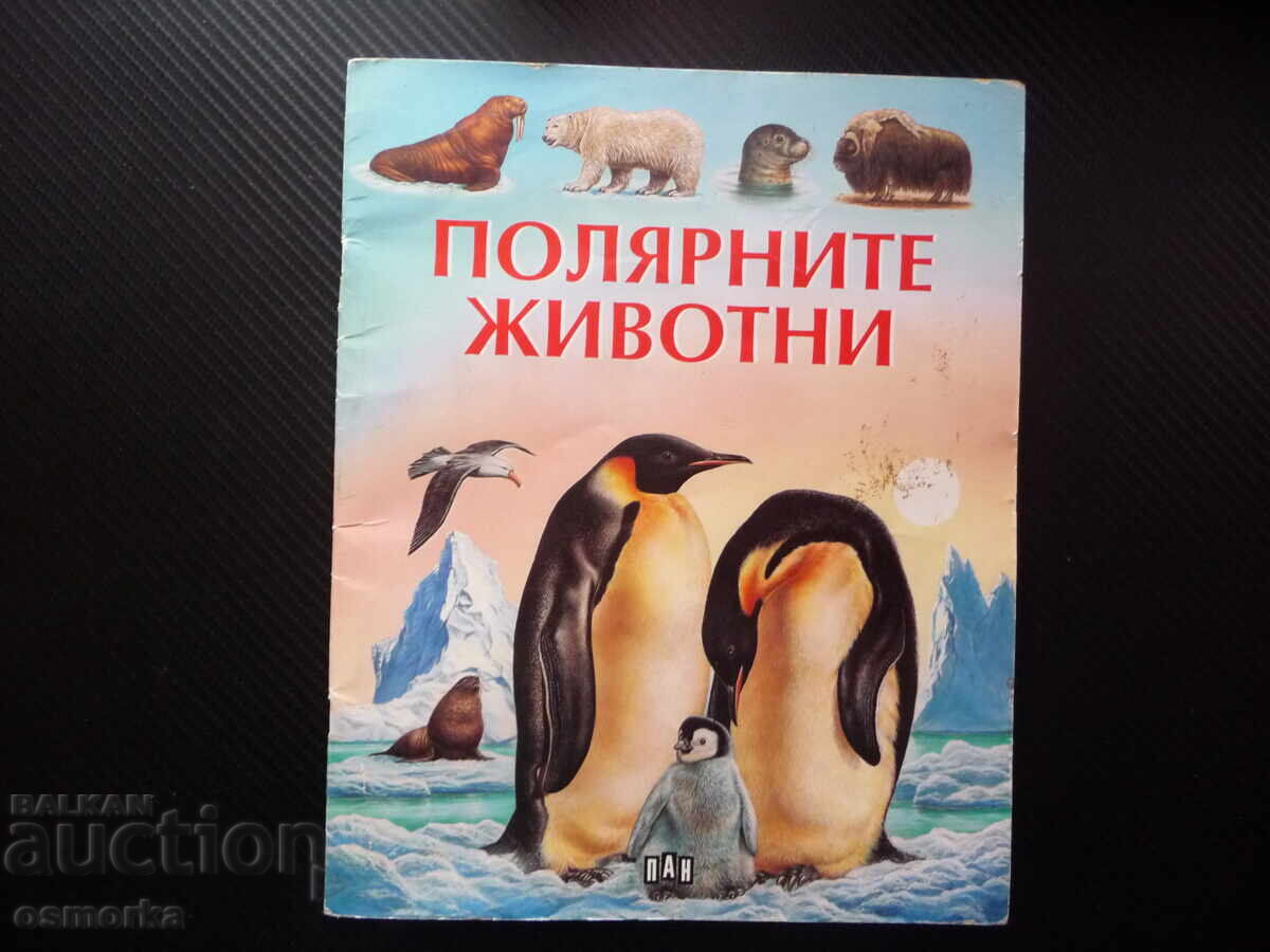 Παιδικές όμορφες ζωγραφιές πολικών ζώων, λευκή αρκούδα, πιγκουίνοι Παιδικές όμορφες ζωγραφιές πολικών ζώων, λευκή αρκούδα, πιγκουίνοι