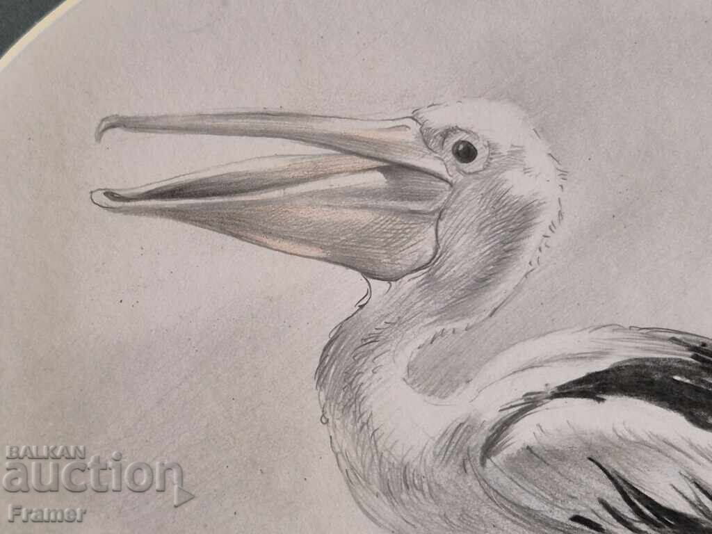 Delivery of Rumen Statkov Unique Etude of a Pelican 1999