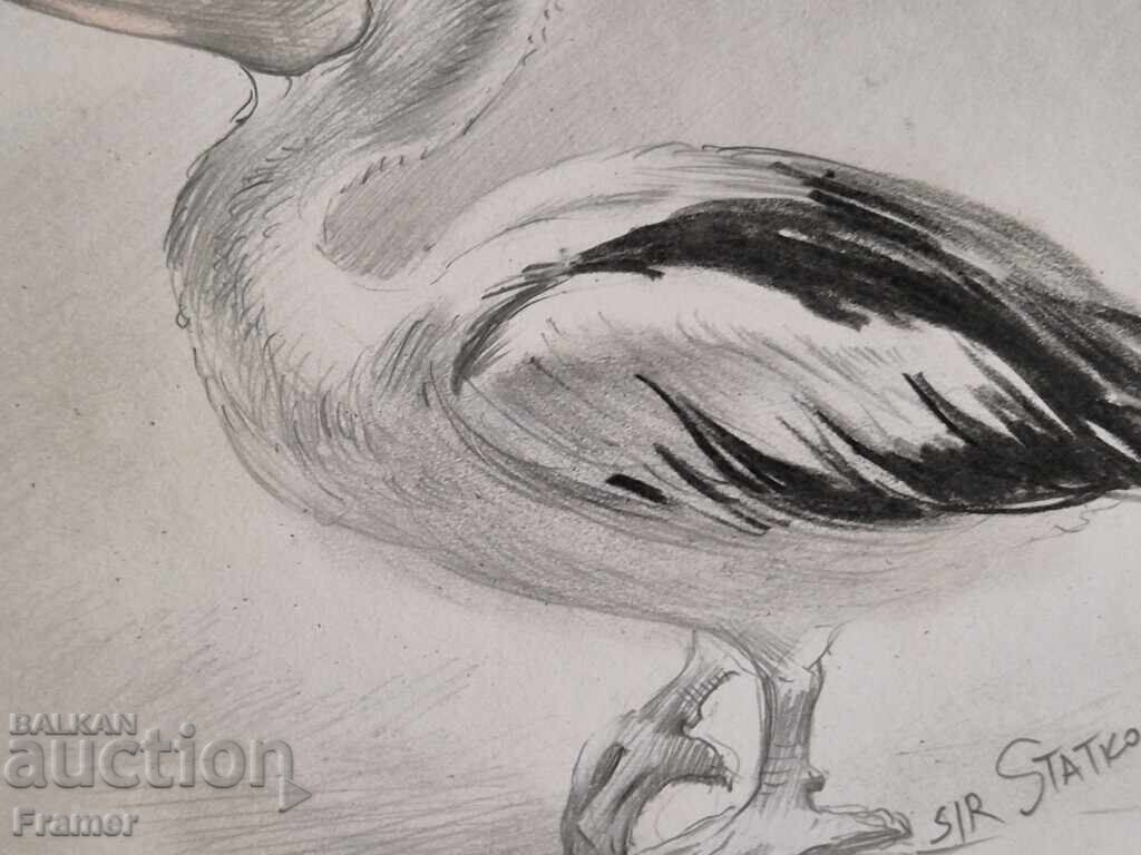 Rumen Statkov Unique Etude of a Pelican 1999 - 5