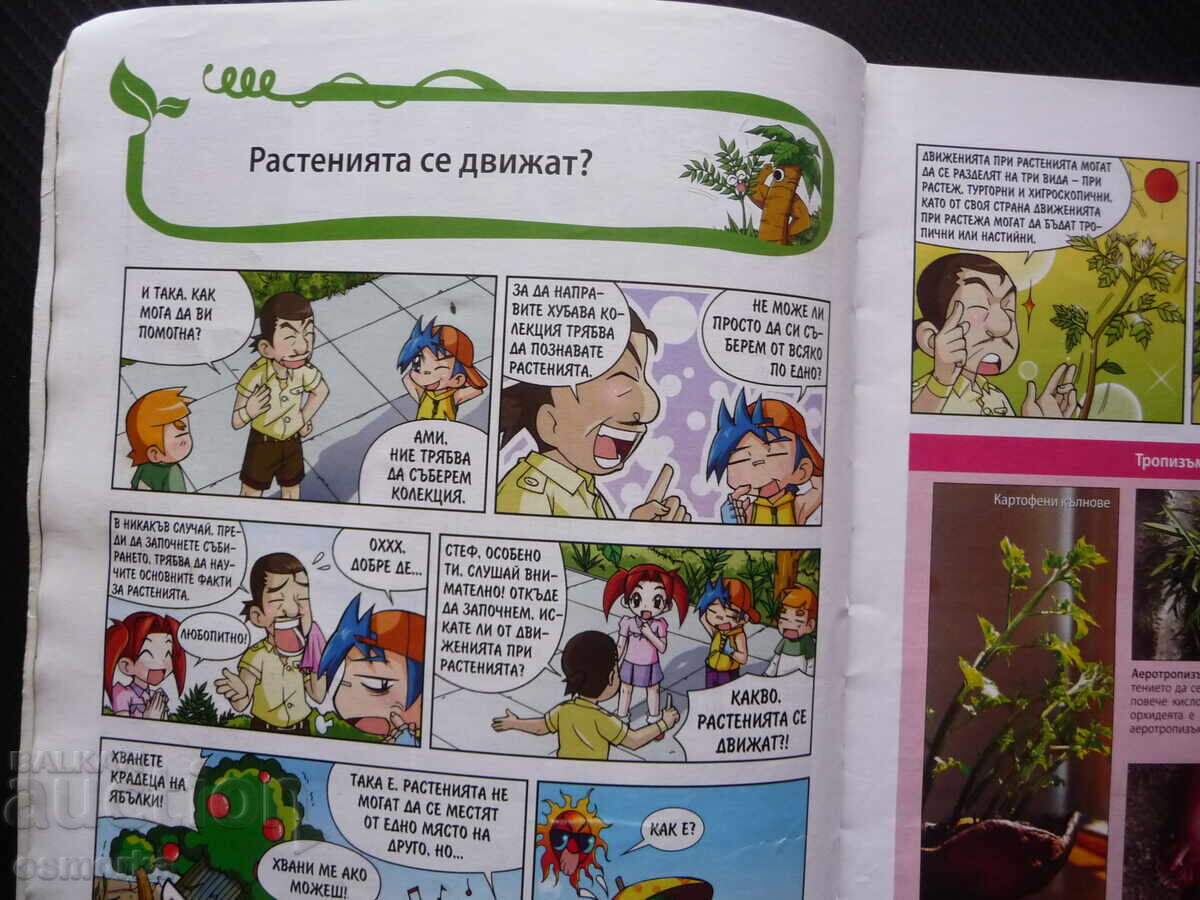 De ce? Plantele benzi desenate distractive de învățare despre copaci arbuști cu preț 16.00 BGN | € 8.18