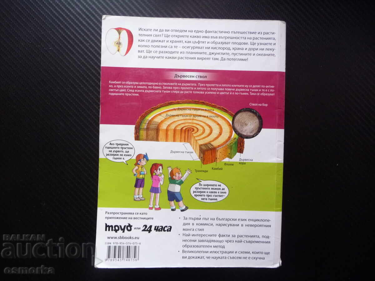 De ce? Plantele benzi desenate distractive de învățare despre copaci arbuști - 6