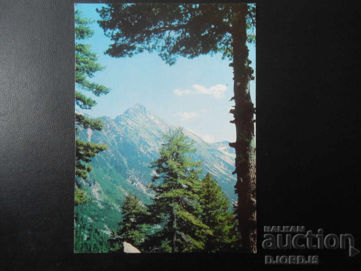 ПИРИН - връх Газей, Стара картичка