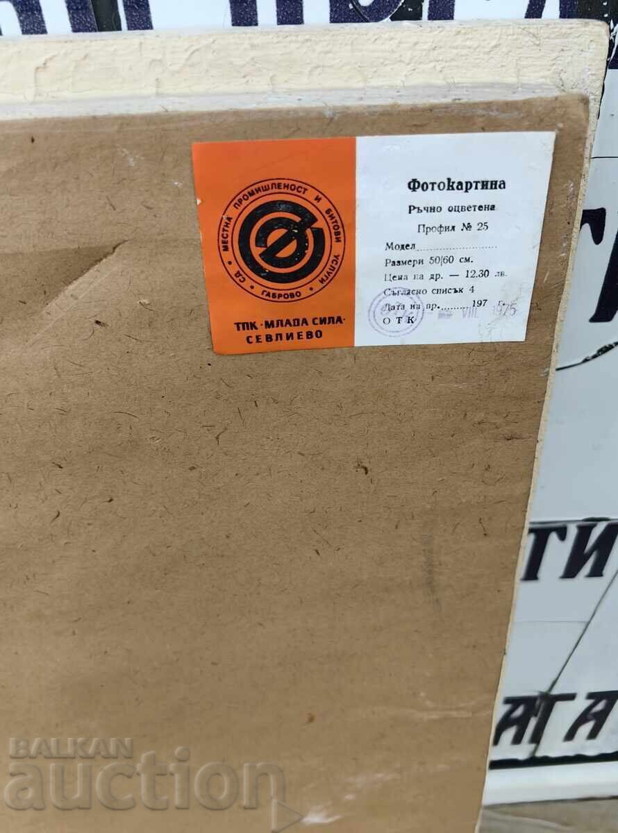 Delivery of LARGE SOCIAL PHOTO PICTURE FLOWERS ROSES ROSE FRAME GLASS