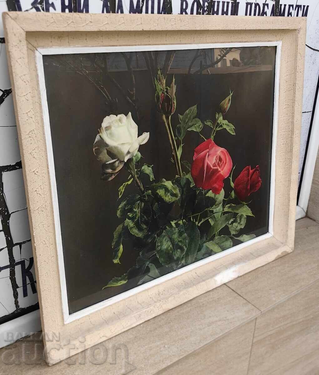 LARGE SOCIAL PHOTO PICTURE FLOWERS ROSES ROSE FRAME GLASS