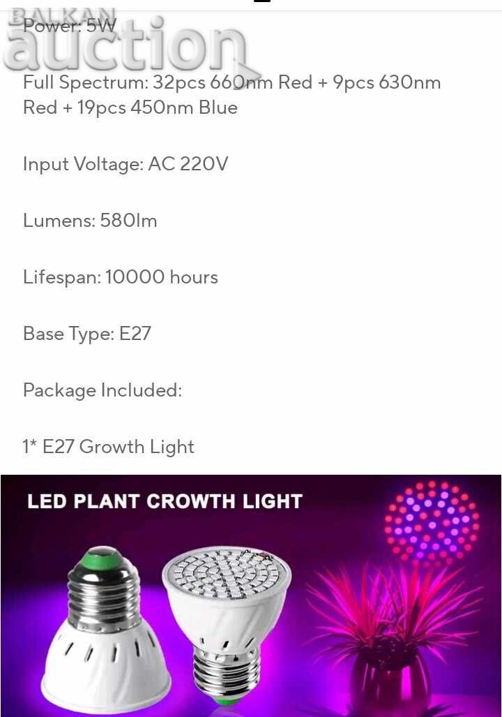 2 LED Bulbs - Pink Light - 6