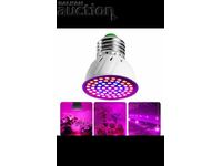 Becuri 2 bucăți LED - luminează roz