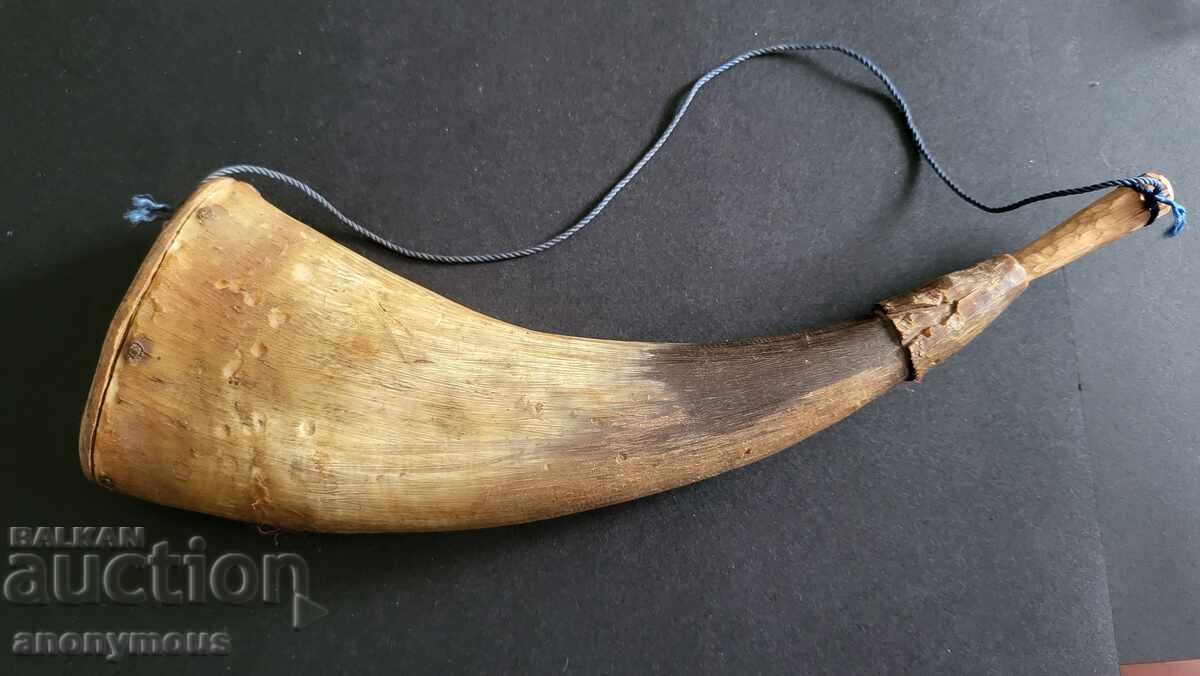 Powder Flask, powder horn
